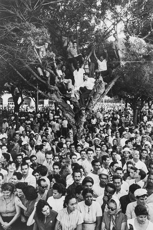 Crowd with People Watching from Branches of a Tree, 1959